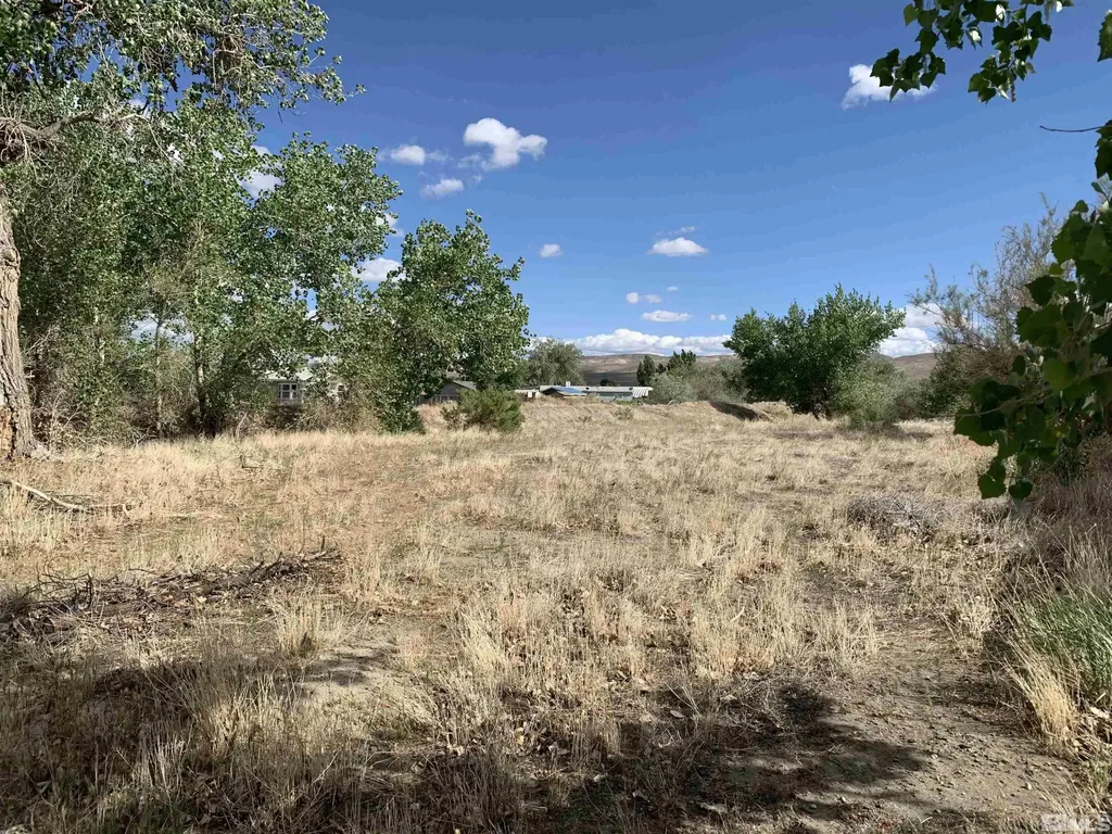 698 Jenny's Fernley NV 89408