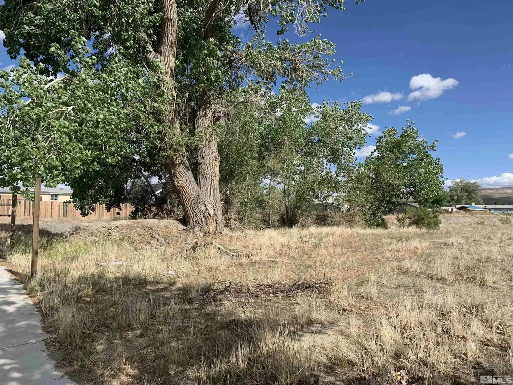 698 Jenny's Fernley NV 89408