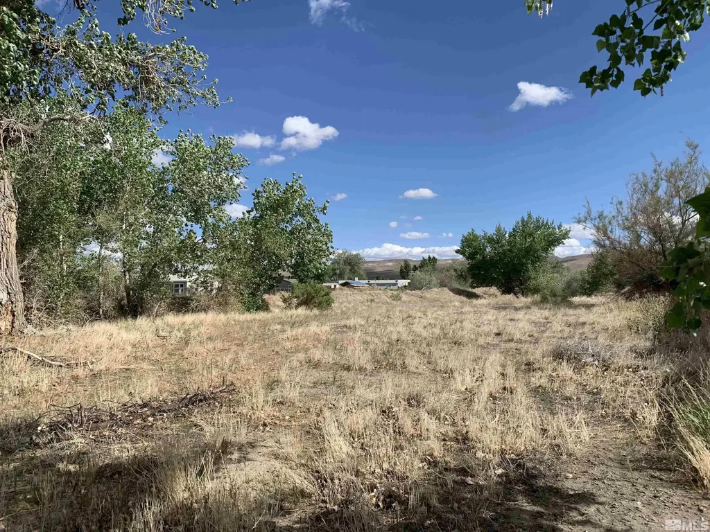 698 Jenny's Fernley NV 89408