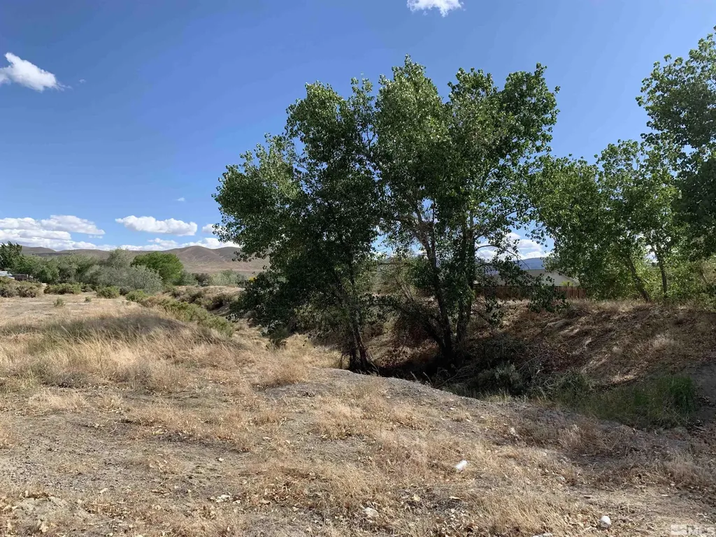 698 Jenny's Fernley NV 89408