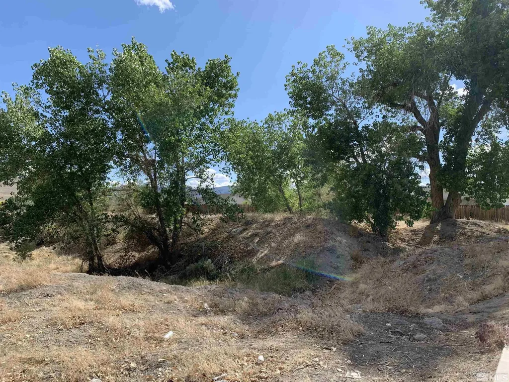 698 Jenny's Fernley NV 89408