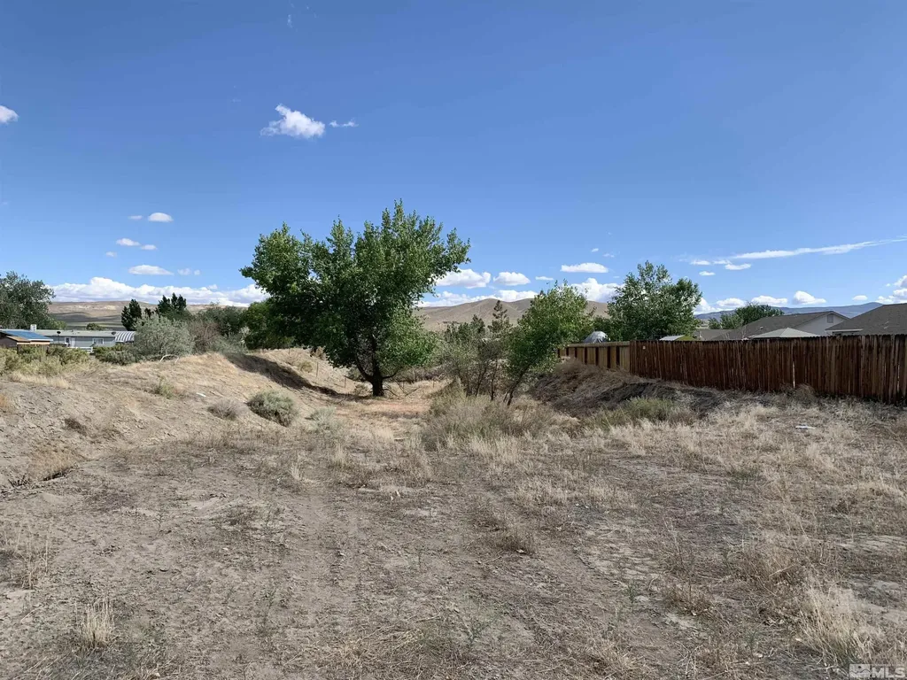 698 Jenny's Fernley NV 89408