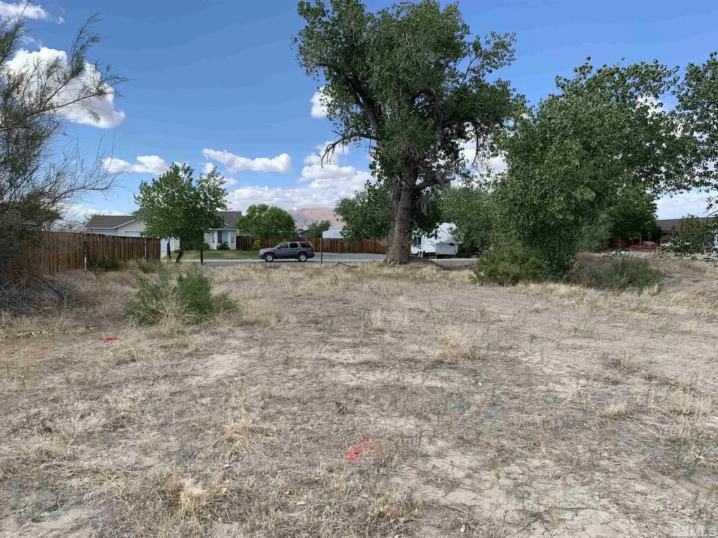 698 Jenny's Fernley NV 89408