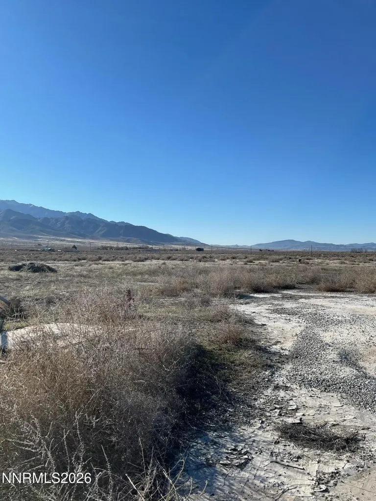 22100 Summerview Lovelock NV 89419
