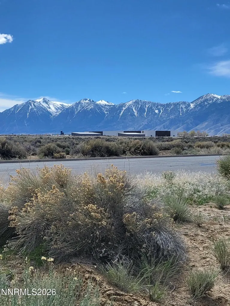 2410 Precision Minden NV 89423