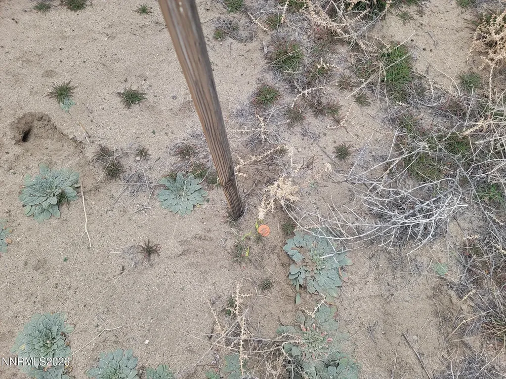 1300 3rd Silver Springs NV 89429