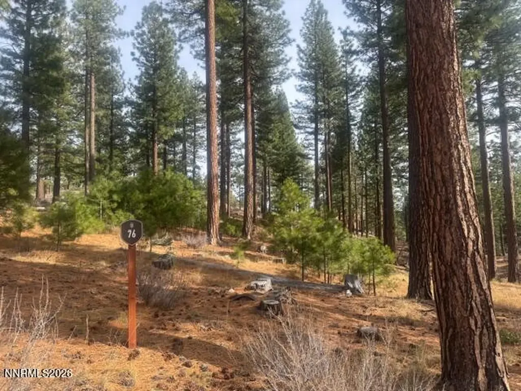 49 Boulders Bend Carson City NV 89705