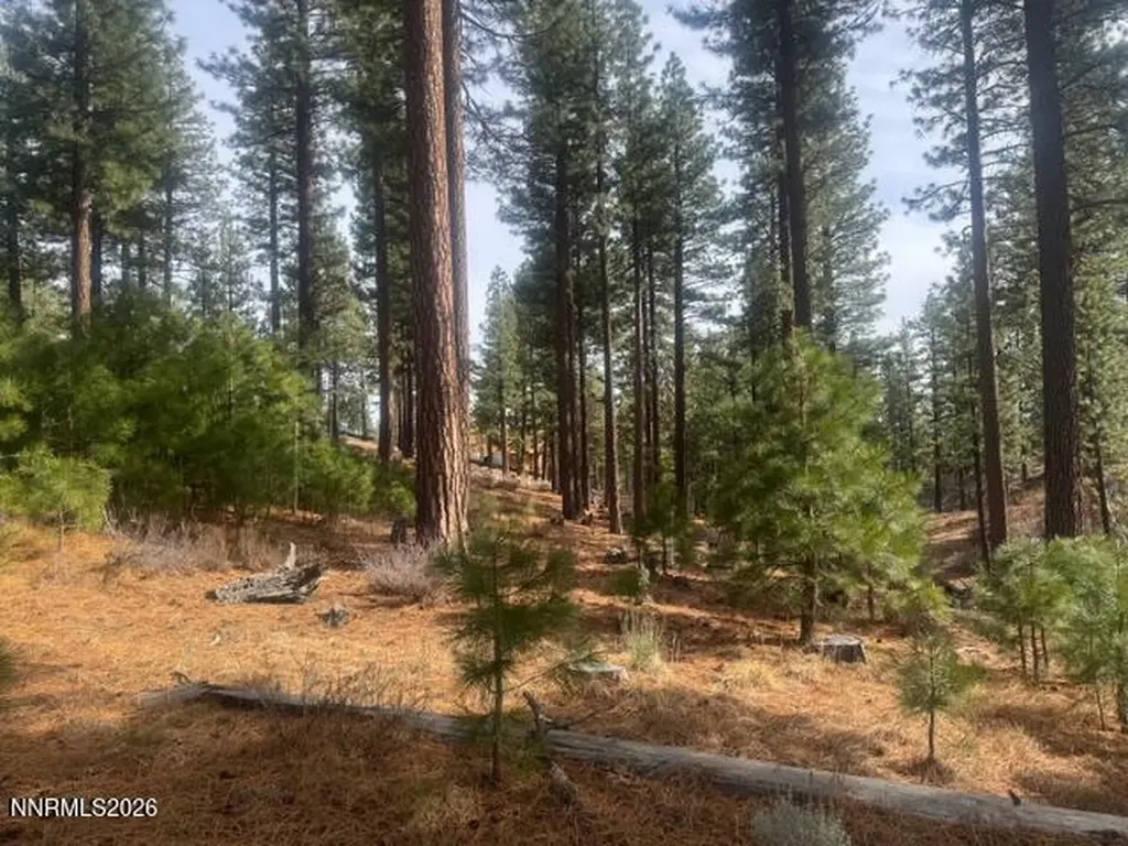 49 Boulders Bend Carson City NV 89705