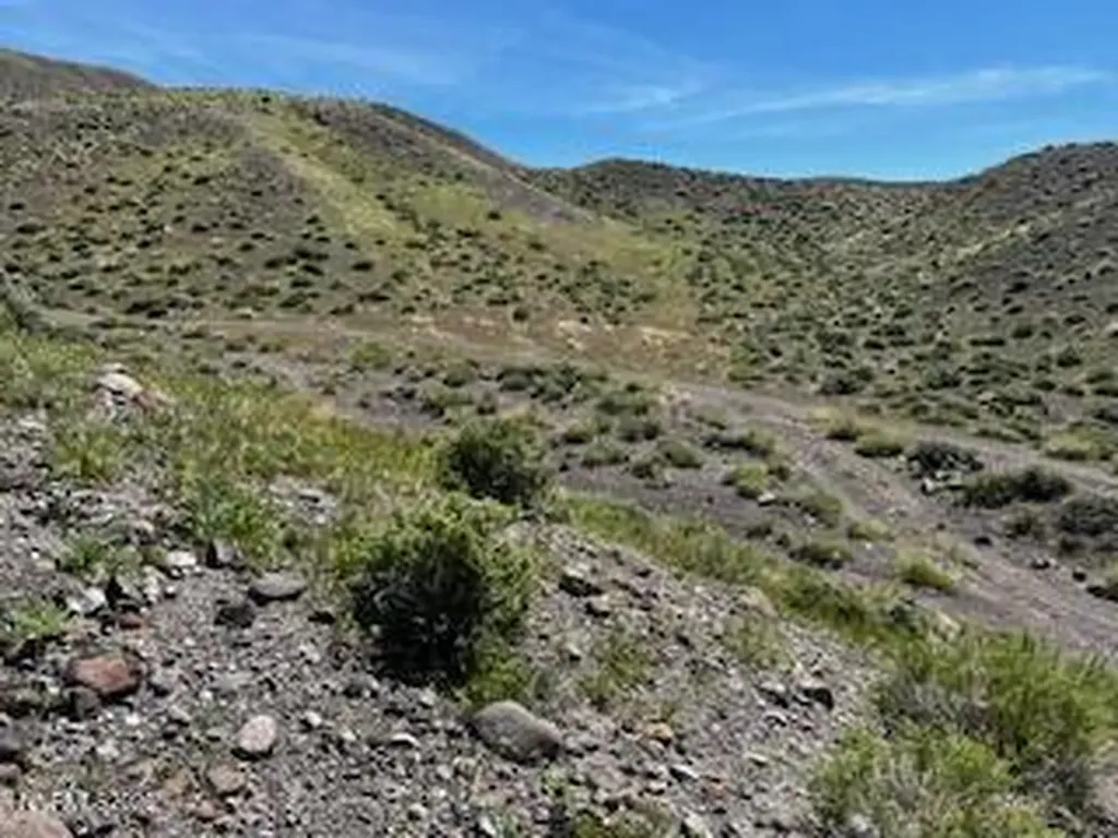755 Janet Fernley NV 89408