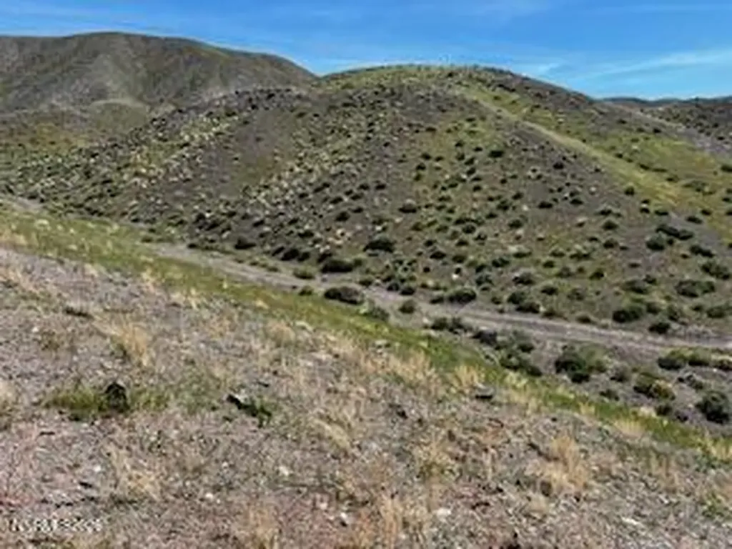 755 Janet Fernley NV 89408