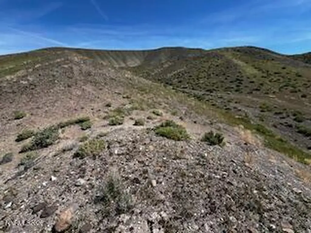 755 Janet Fernley NV 89408
