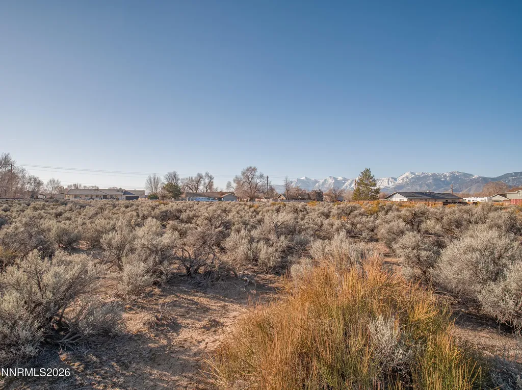 1356 Stephanie Minden NV 89423