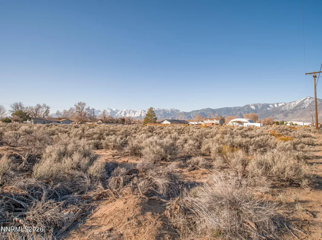 1356 Stephanie Minden NV 89423