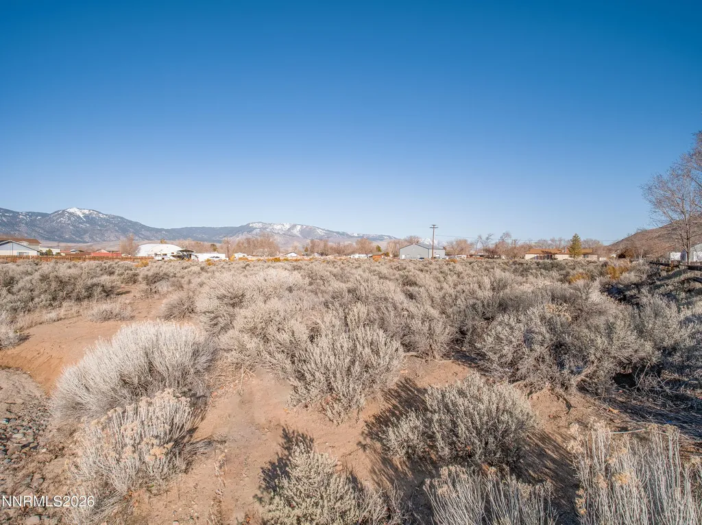 1356 Stephanie Minden NV 89423