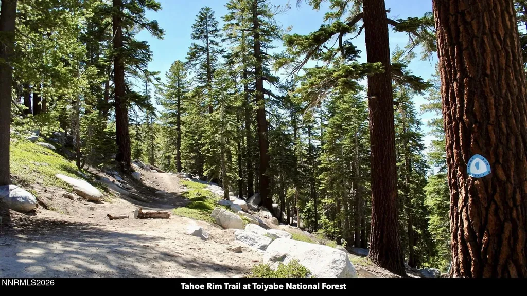 0 Genoa Peak Stateline NV 89449