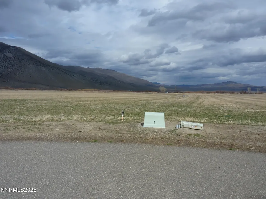 120 Oreana Peak Wellington NV 89444