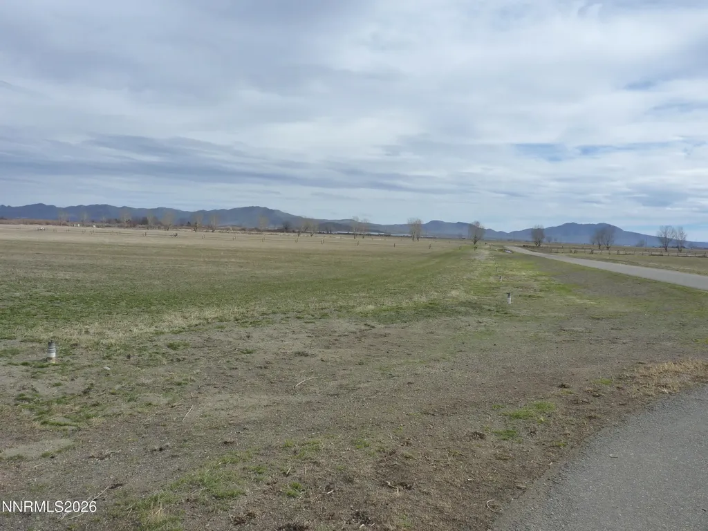 110 Oreana Peak Wellington NV 89444