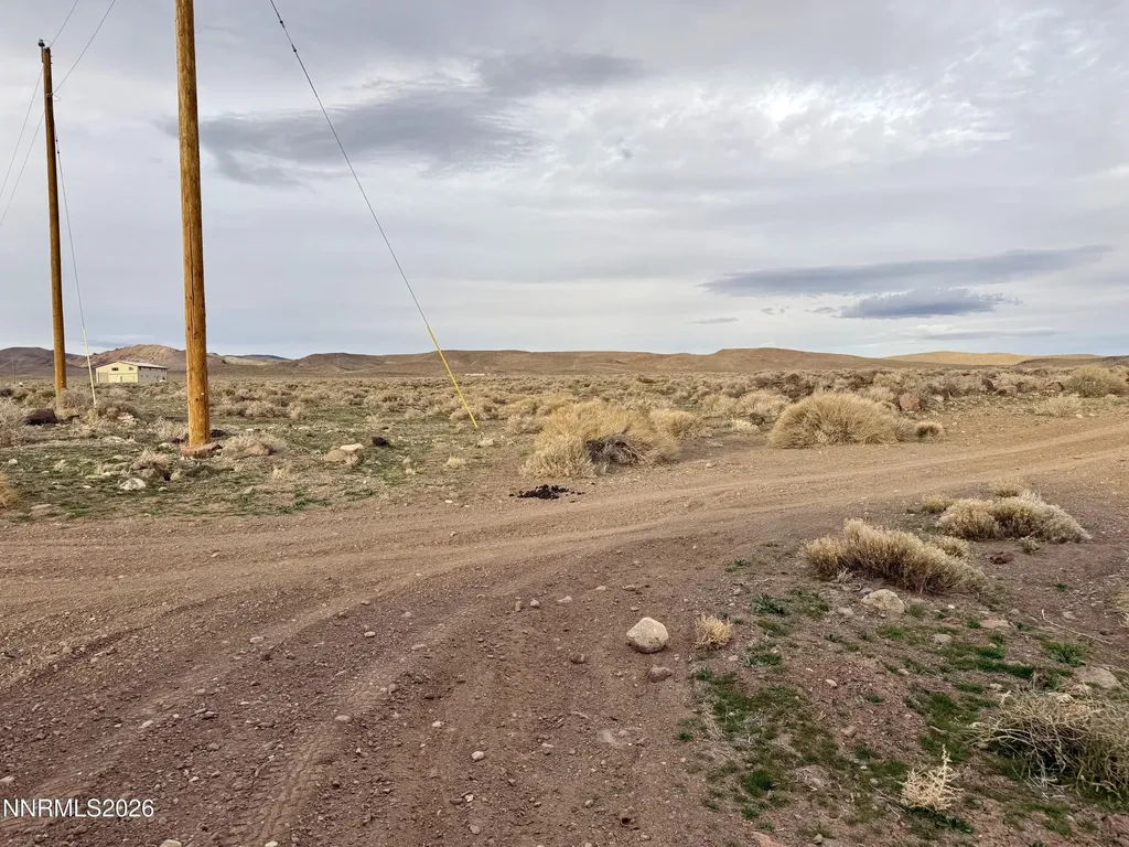 9485 Quarter Horse Stagecoach NV 89429