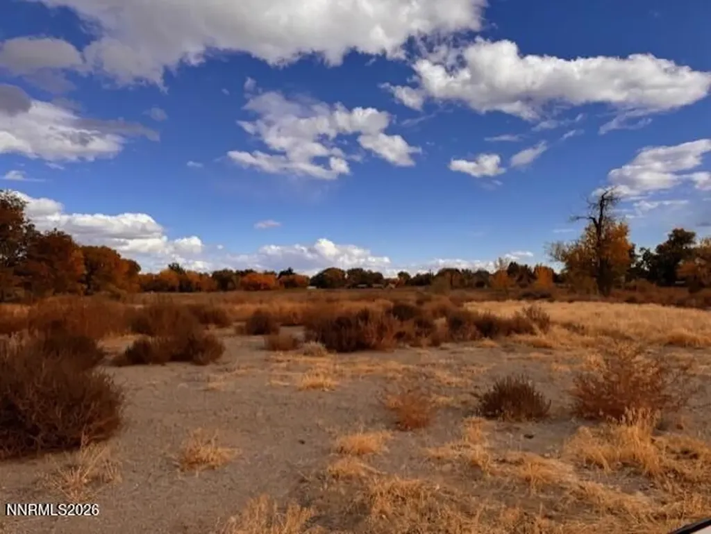 785 Wetland Fallon NV 89406