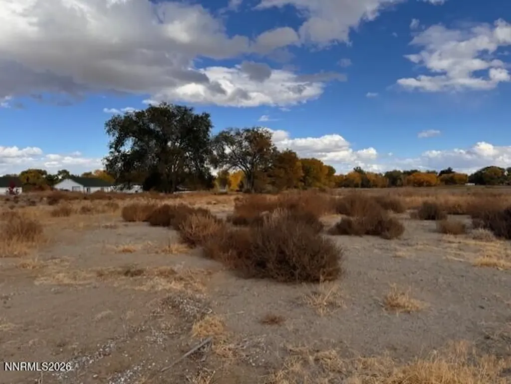 785 Wetland Fallon NV 89406