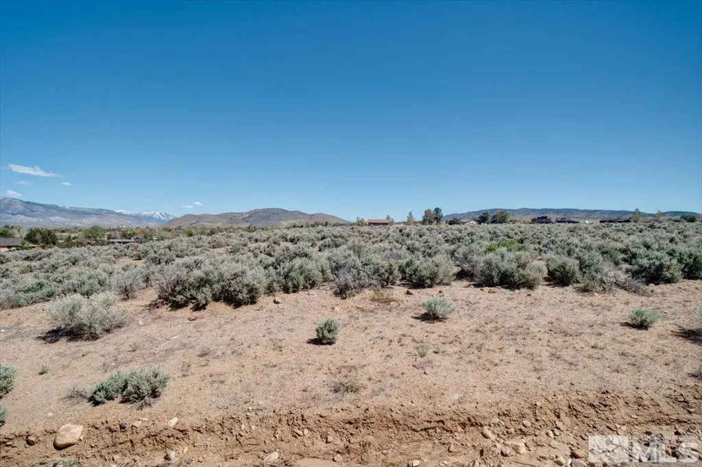 1700 Sunrise Pass Minden NV 89423