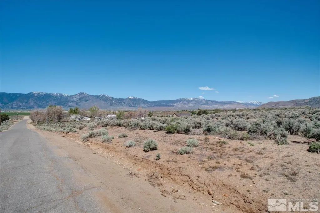 1700 Sunrise Pass Minden NV 89423