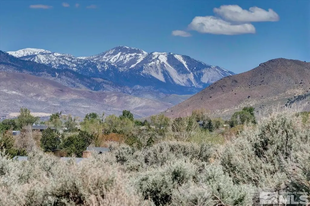 1700 Sunrise Pass Minden NV 89423