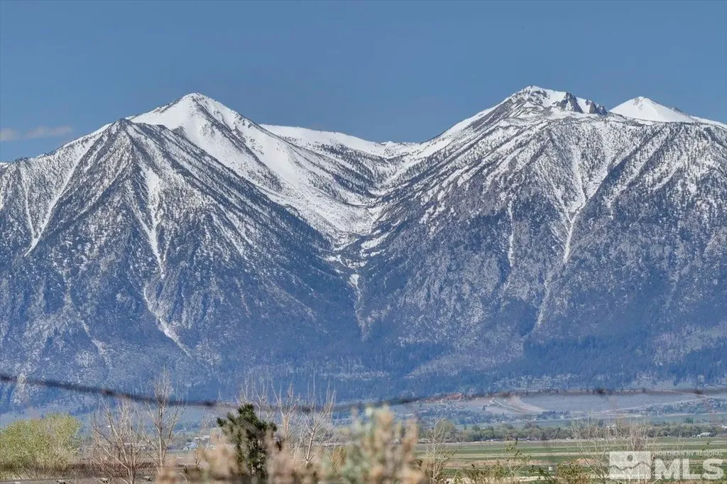 1700 Sunrise Pass Minden NV 89423
