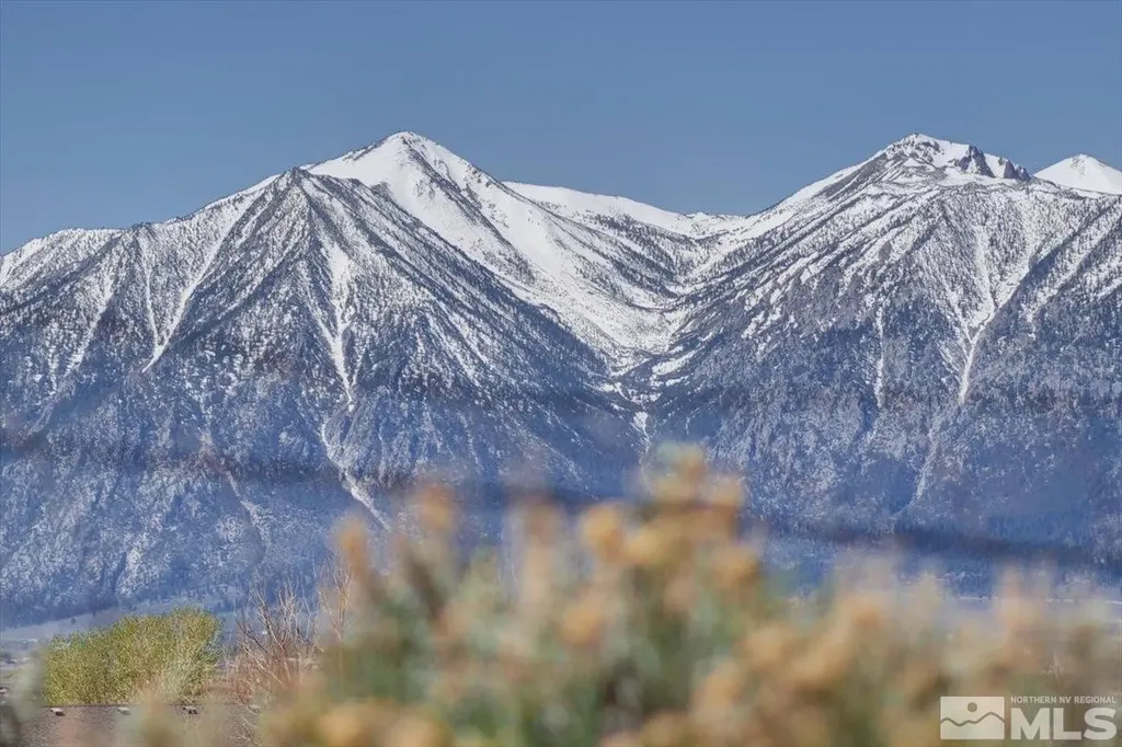 1700 Sunrise Pass Minden NV 89423