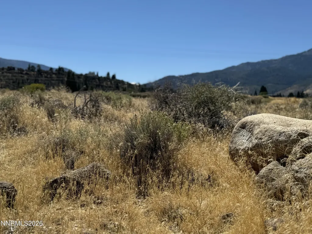 355 River Pines Verdi NV 89439