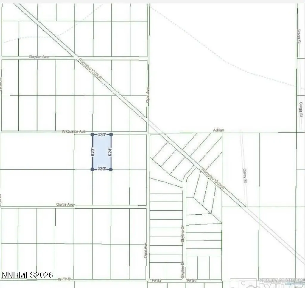3155 Quince Silver Springs NV 89429