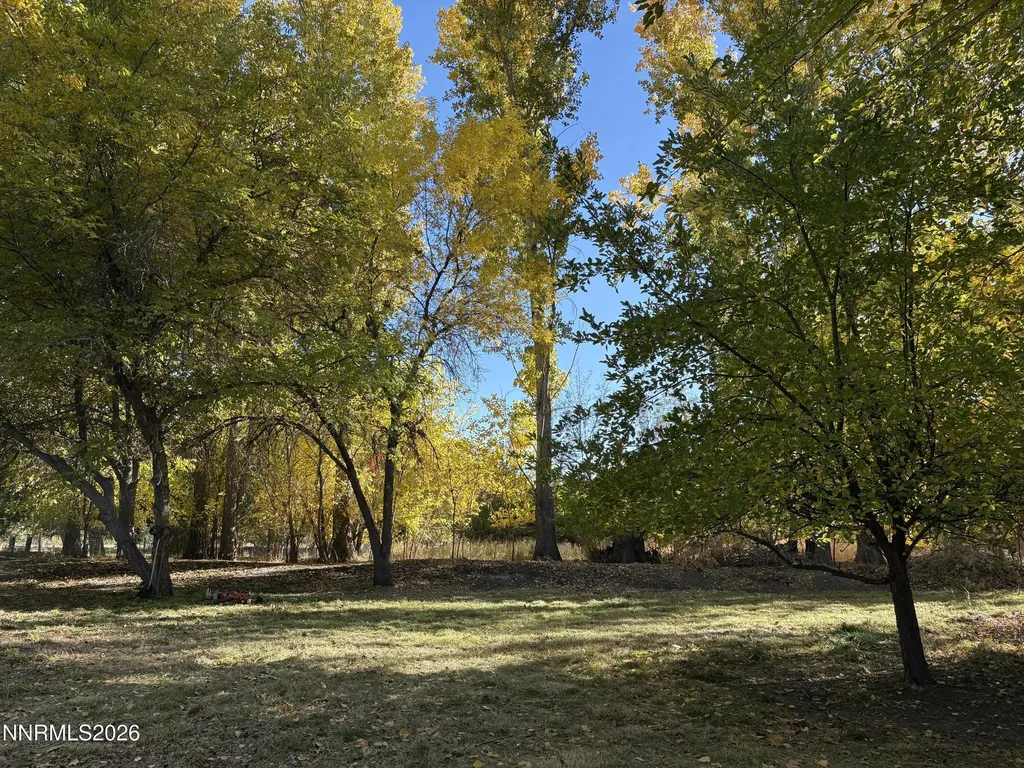 4755 Alcorn Fallon NV 89406