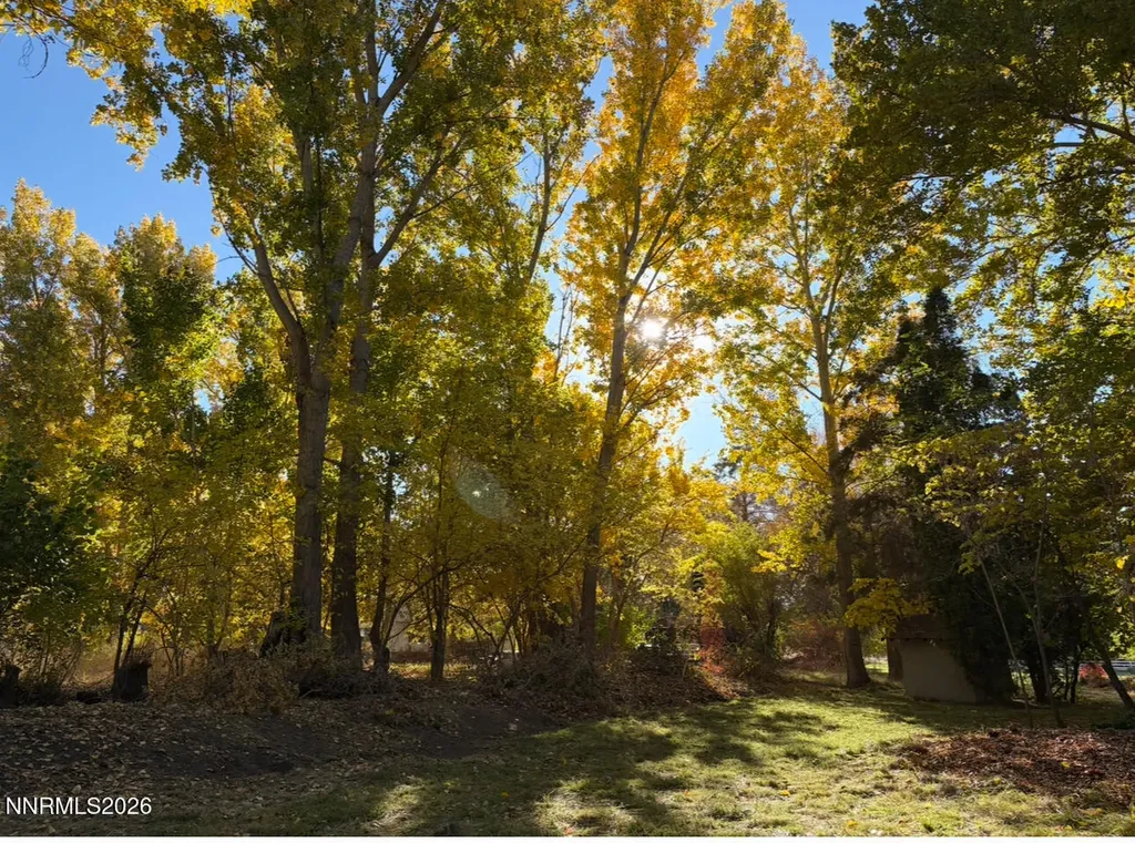 4755 Alcorn Fallon NV 89406