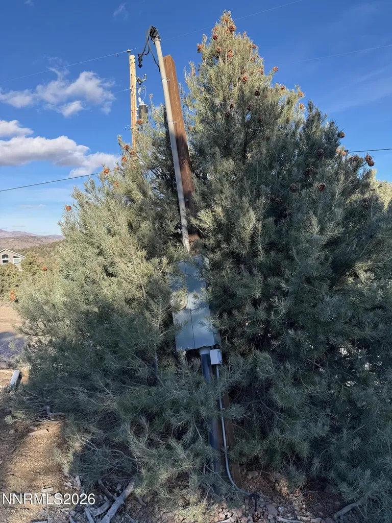 1810 Harte Reno NV 89521