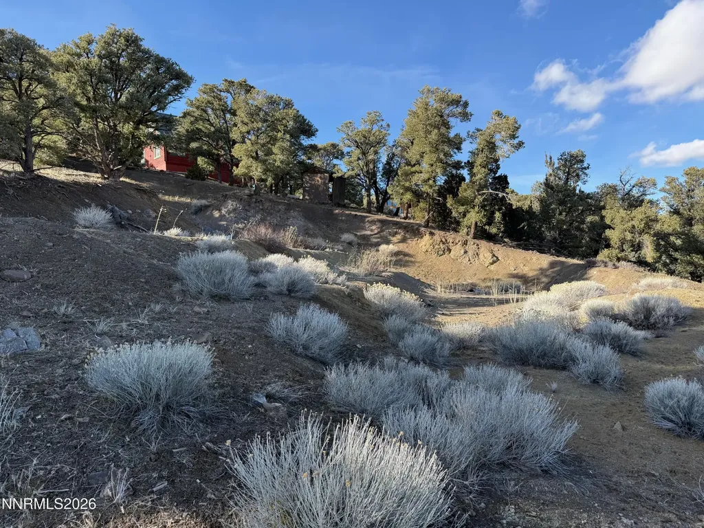 1810 Harte Reno NV 89521