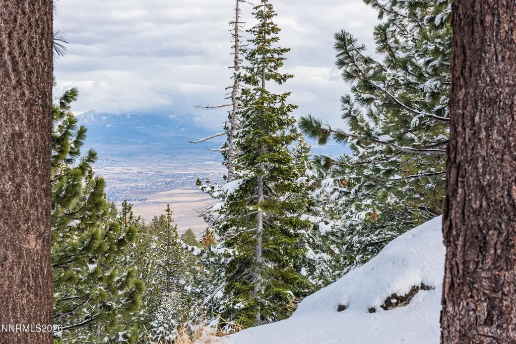 111 Tramway Stateline NV 89449
