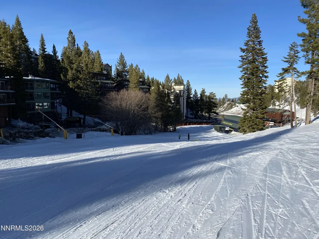 111 Tramway Stateline NV 89449