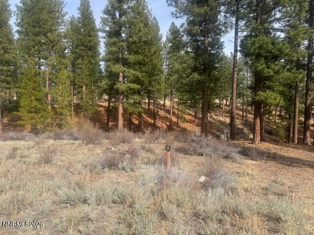 35 Boulders Bend Carson City NV 89705