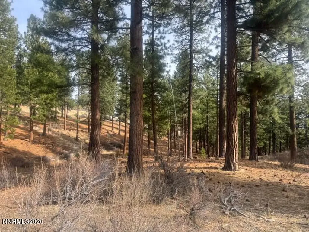 35 Boulders Bend Carson City NV 89705