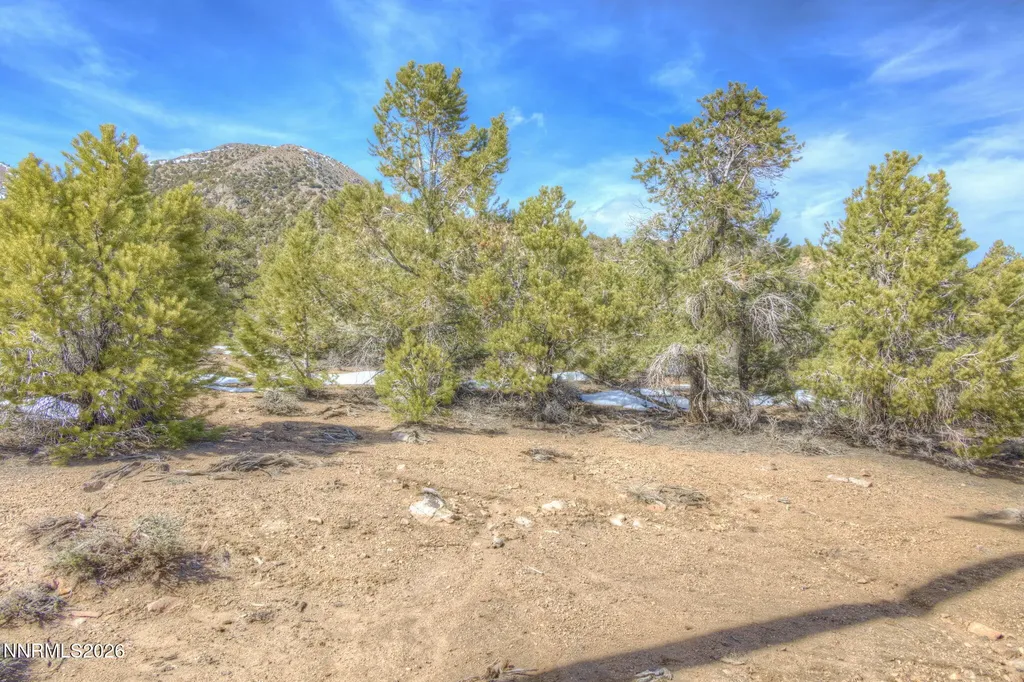 0 Apn 006-420-17 Lucky Boy Pass Road Hawthorne NV 89415