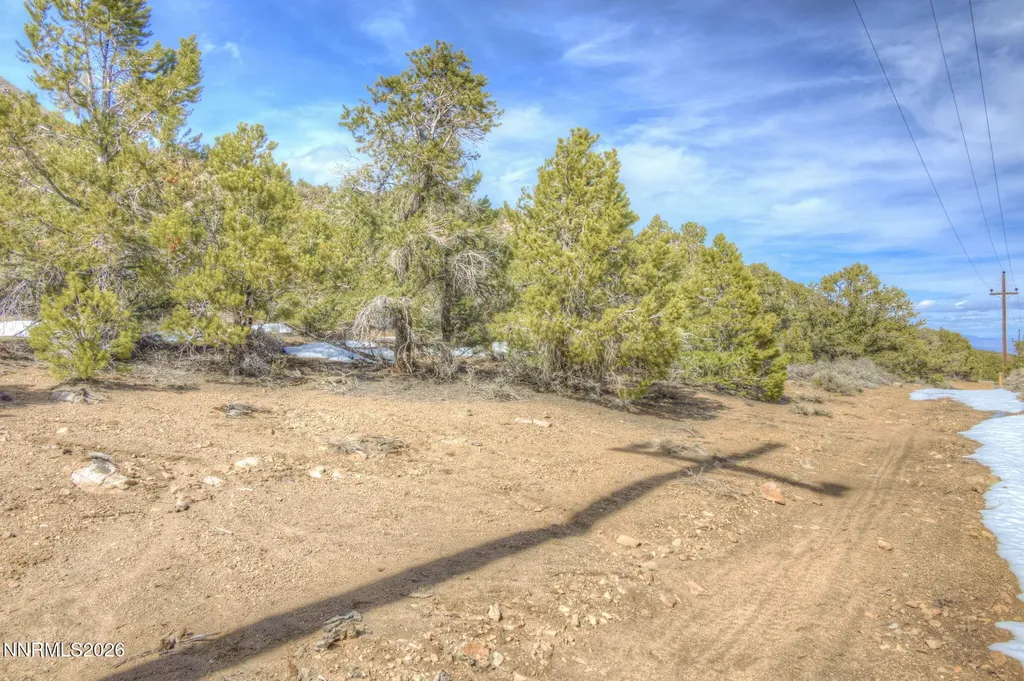 0 Apn 006-420-17 Lucky Boy Pass Road Hawthorne NV 89415