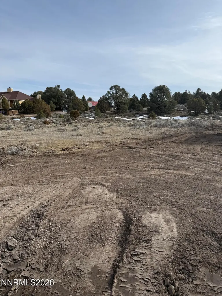 2421 Cartwright Reno NV 89521