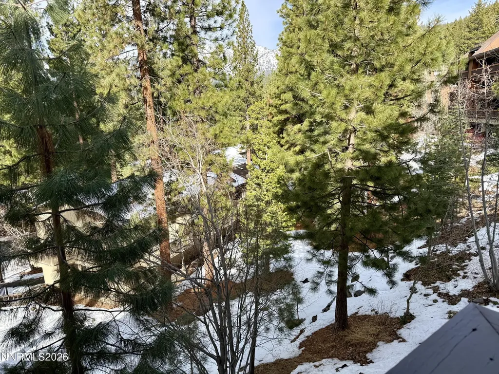 333 Ski Incline Village NV 89451