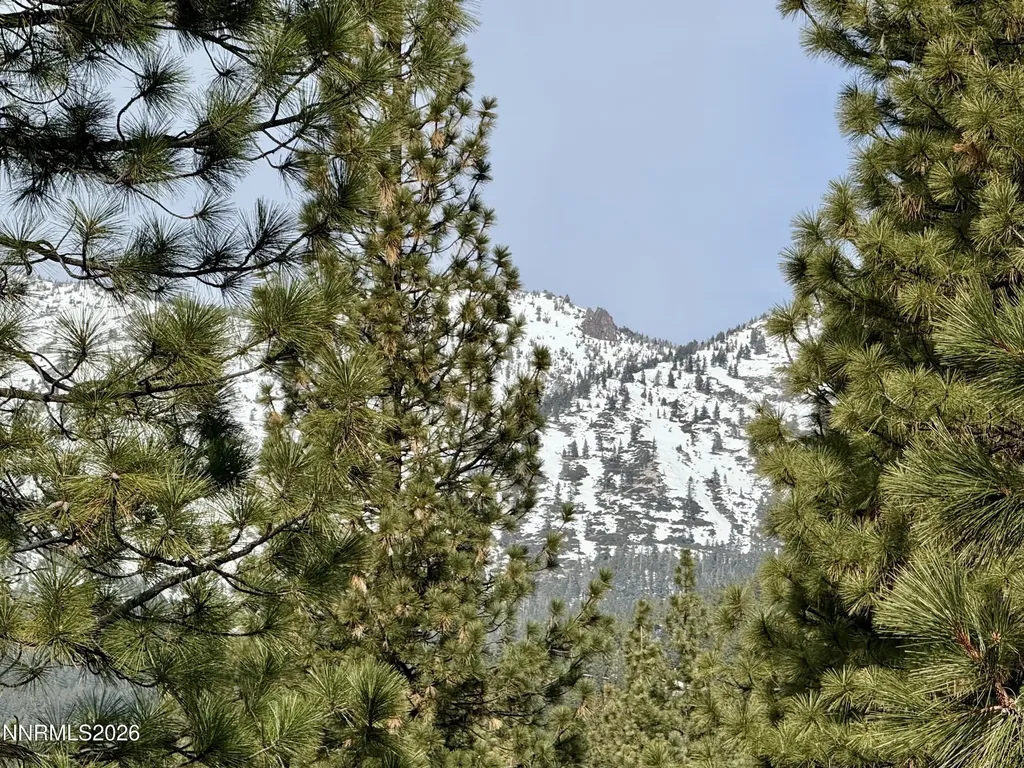 333 Ski Incline Village NV 89451