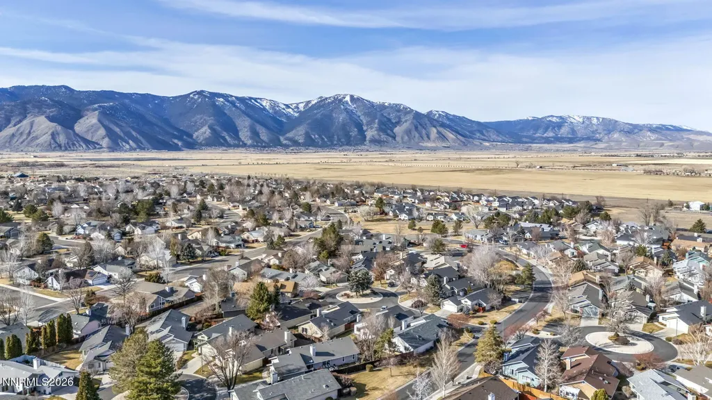 1768 Blue Spruce Minden NV 89423