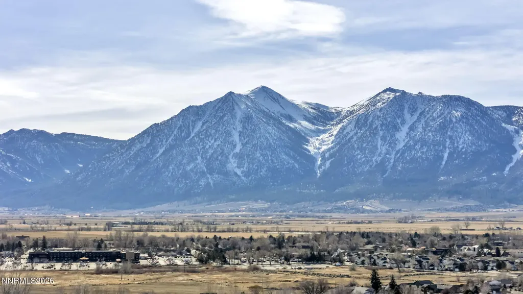 1768 Blue Spruce Minden NV 89423