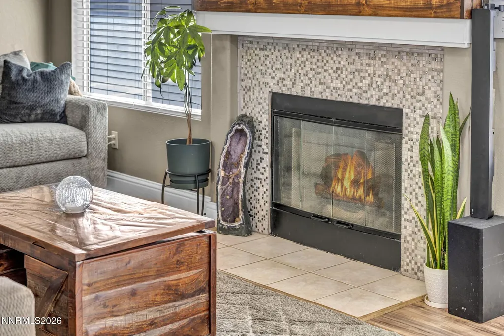 1768 Blue Spruce Minden NV 89423