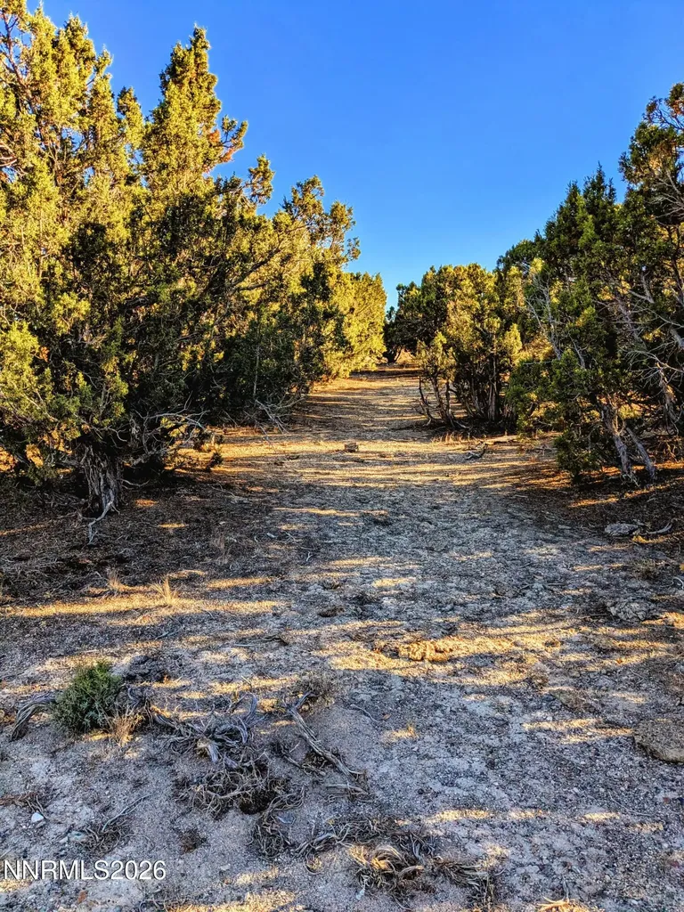 0 Twelvemile Canyon Montello NV 89830