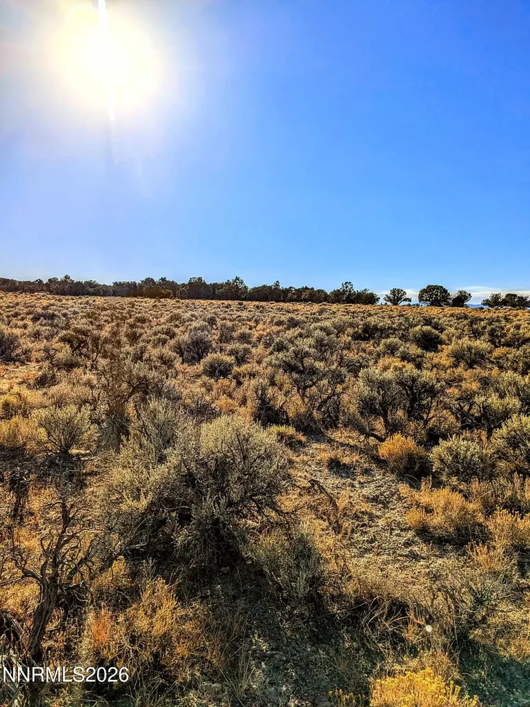 0 Twelvemile Canyon Montello NV 89830