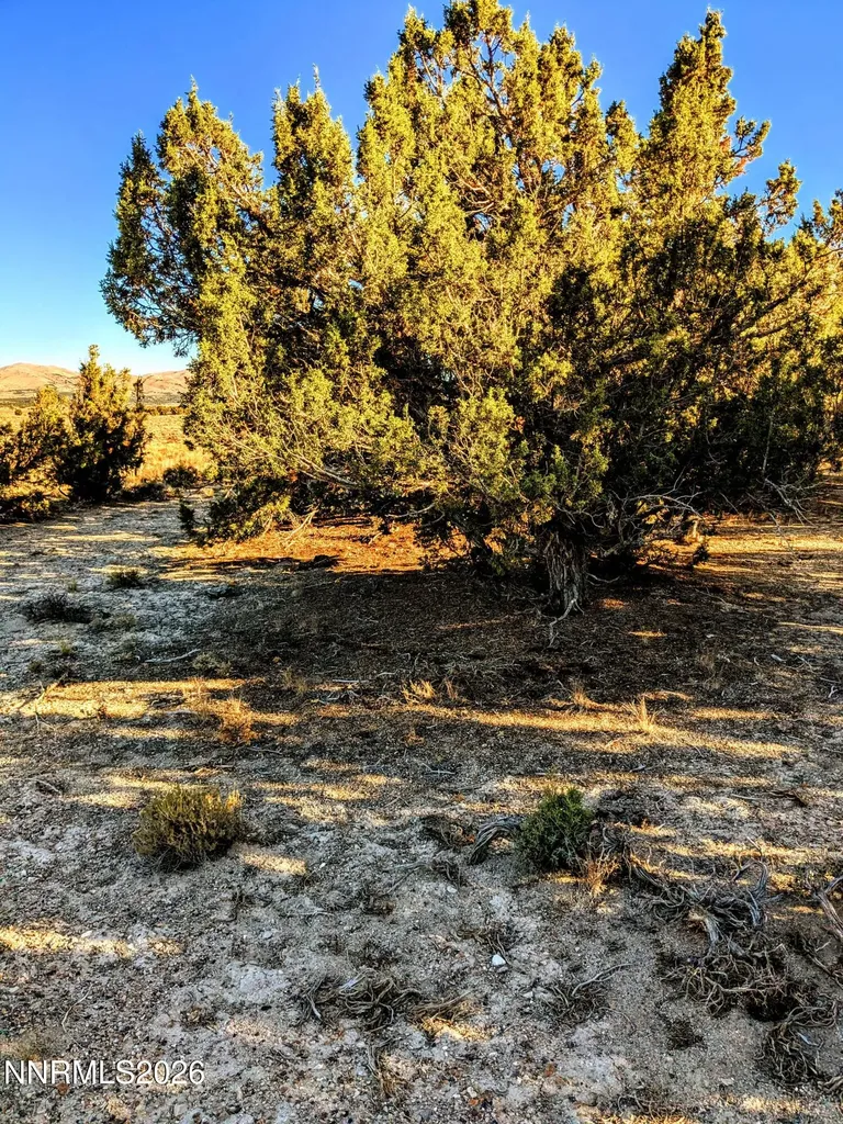 0 Twelvemile Canyon Montello NV 89830